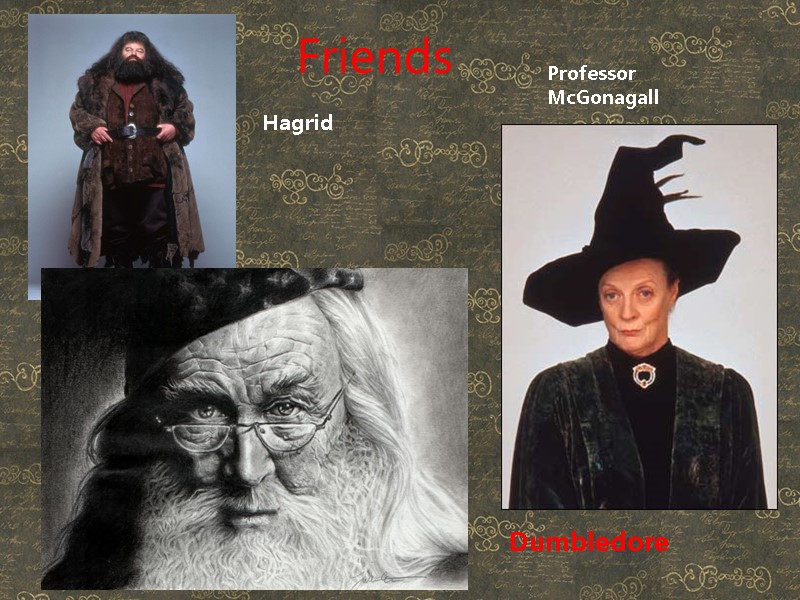 Friends Hagrid Professor McGonagall Dumbledore